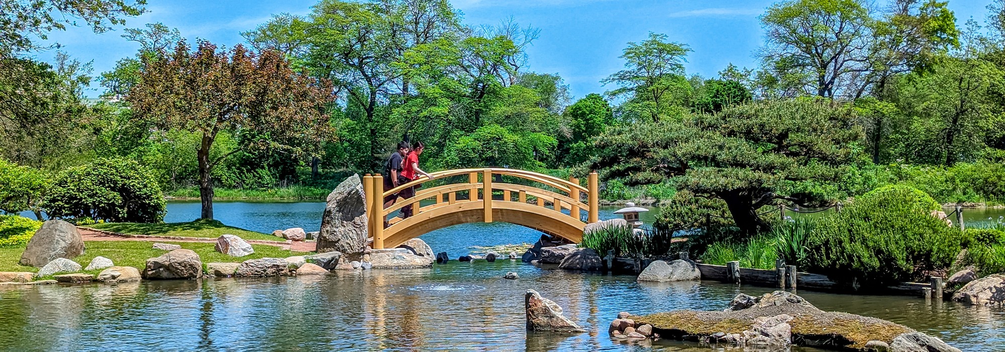 The Illuminated Park　閃光の庭　なかにしけふこ The Illuminated Park 閃光の庭 なかにしけふこ 2025 Latest] A